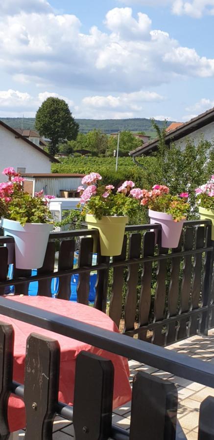 Ferienwohnung Weingut Leis โอสตริช-วินเคิล ภายนอก รูปภาพ